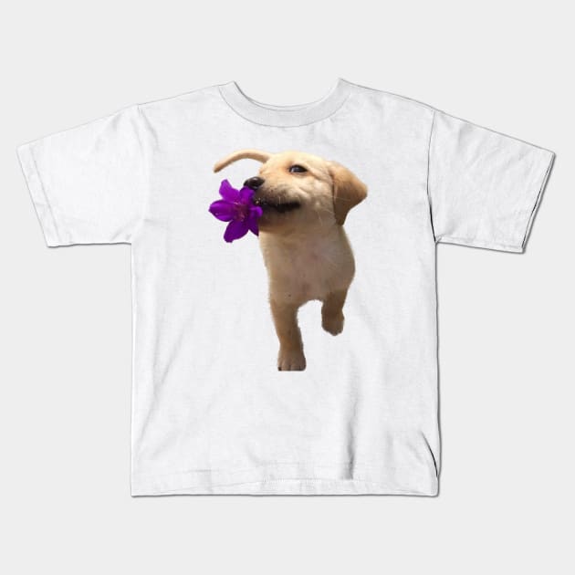 Yellow labrador holding flower Kids T-Shirt by Ivanapcm